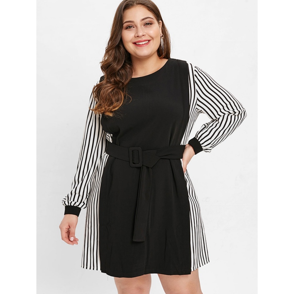 ♠ Chic Plus Size Stripe Panel Mini Dress w/ Belt ♠ - Picture 2 of 8
